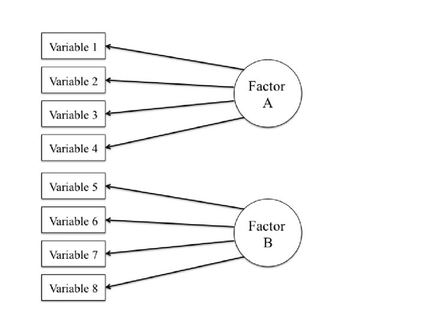 Factor Analysis